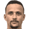 Luiz Ramos Marchi portrait