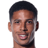 Curtis Davies portrait