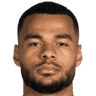 Cody Gakpo portrait