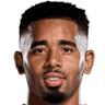 Gabriel de Jesus portrait