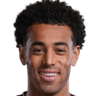 Tyler Adams portrait