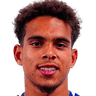 Raphael Borges Rodrigues portrait