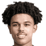 Shola Shoretire portrait