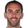 Diego Godín Leal portrait