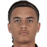 Everton Pereira portrait