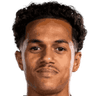 Fábio Carvalho portrait