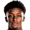 Demarai Gray portrait