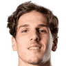 Nicolò Zaniolo portrait