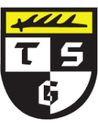 Balingen badge