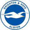 Brighton & Hove Albion badge