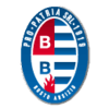 Pro Patria badge