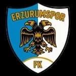 Erzurumspor FK badge