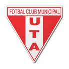 UTA Arad badge