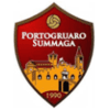 Portosummaga badge