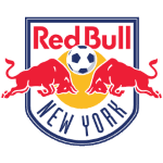 New York RB badge