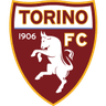 Torino badge