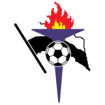 Gaz Metan Mediaş badge
