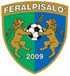 FeralpiSalò badge