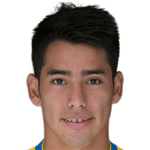 Sergio Araújo