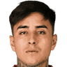 Erick Pulgar Farfán