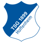 Hoffenheim U19 badge