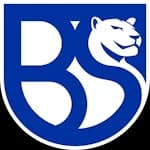 Union Brescia badge