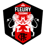 Fleury 91 badge