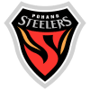 Pohang Steelers badge
