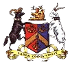 Bradford Park Avenue badge
