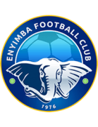 Enyimba badge