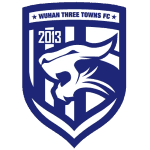Wuhan Three Towns badge