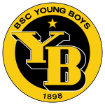 Young Boys badge